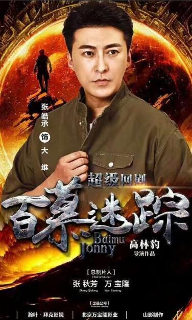 迷踪电视剧免费观看,揭秘神秘事件的免费观影之旅