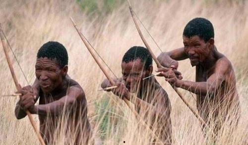 野性部落在线播放,原始激情，在线探险之旅