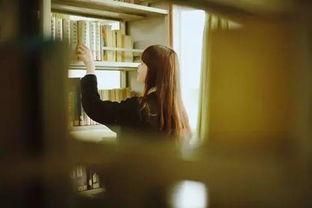 图书馆巨乳AV,巨乳AV的神秘世界揭秘