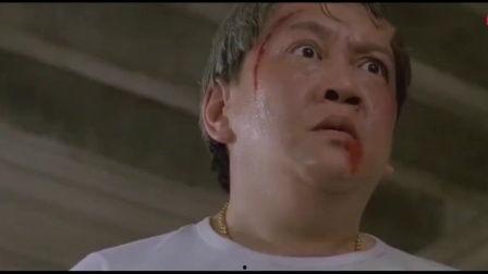 赌豪在线播放,揭秘赌坛风云，一窥赌界传奇