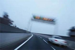 超高速腰振无码 magnet