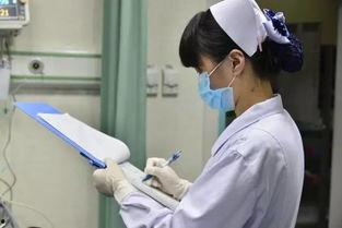 日本护士修正,护士角色与专业发展的新篇章