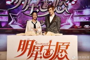 明星志愿.,梦想舞台，星光璀璨的青春之旅