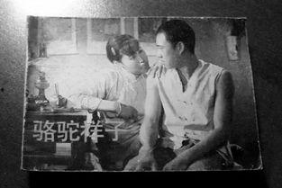 祥子电影日本,日本异域风情下的奋斗传奇