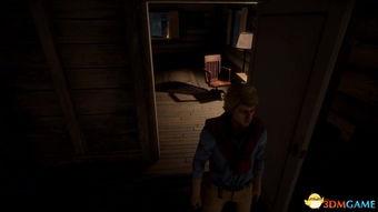 日13视频在线观看,在线观看的视听盛宴