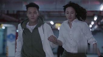 南方有乔木3集免费观看,揭开神秘面纱！