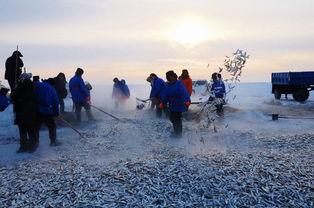 冰上捕鱼视频,揭秘冬季冰上捕鱼技艺