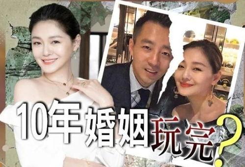 娱乐吃瓜 汪小菲小说