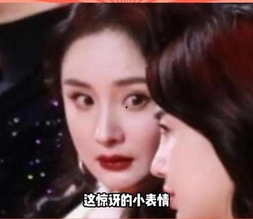 理性吃瓜娱乐圈